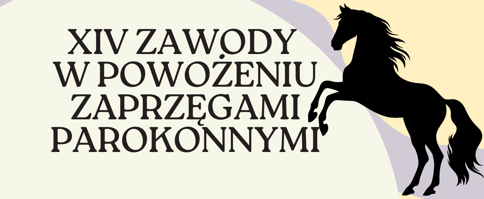 XIV Zawody  w powożeniu