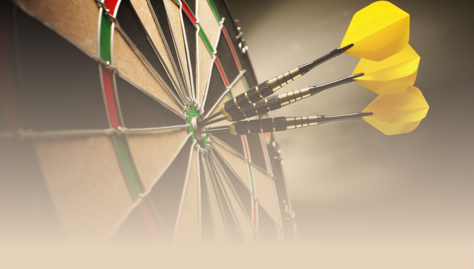 Mistrzostwa Steel Dart